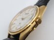 画像10: Grand Seiko (10)